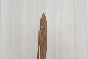 Drifted Black Wood2